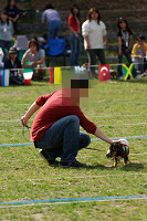 picnic_land_A-0605.jpg