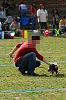 picnic_land_A-0605_thumb.png