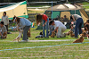 picnic_land_A-0608_thumb.png