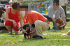 picnic_land_A-0609_thumb.png