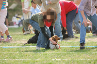 picnic_land_A-0610.jpg