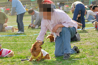 picnic_land_A-0611.jpg