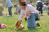 picnic_land_A-0611_thumb.png
