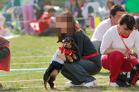 picnic_land_A-0612.jpg