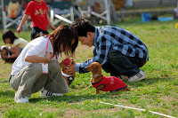 picnic_land_A-0616.jpg