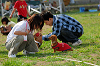 picnic_land_A-0616_thumb.png