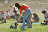 picnic_land_A-0618_thumb.png