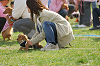 picnic_land_A-0619_thumb.png