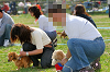 picnic_land_A-0620_thumb.png