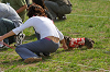 picnic_land_A-0621_thumb.png