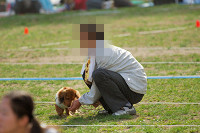 picnic_land_A-0623.jpg