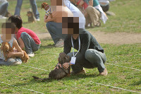 picnic_land_A-0626.jpg