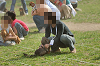 picnic_land_A-0626_thumb.png