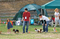 picnic_land_A-0628.jpg