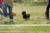 picnic_land_A-0629.jpg