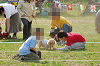 picnic_land_A-0630_thumb.png