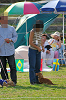 picnic_land_A-0639_thumb.png
