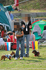 picnic_land_A-0640_thumb.png