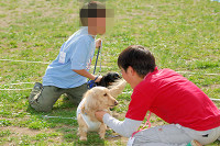 picnic_land_A-0644.jpg
