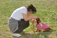 picnic_land_A-0648.jpg