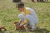 picnic_land_A-0649_thumb.png