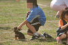 picnic_land_A-0650_thumb.png