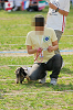 picnic_land_A-0663_thumb.png