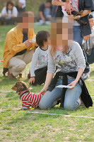 picnic_land_A-0672.jpg