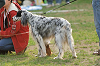 picnic_land_A-0685_thumb.png