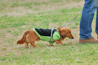 picnic_land_A-0686.jpg