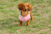 picnic_land_A-0687.jpg