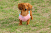 picnic_land_A-0687_thumb.png