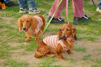 picnic_land_A-0689.jpg