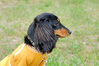 picnic_land_A-0696.jpg
