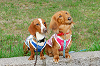 picnic_land_A-0707_thumb.png