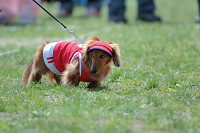picnic_land_B-0003.jpg