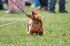 picnic_land_B-0004_thumb.png