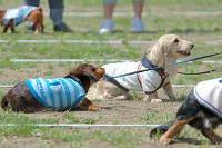picnic_land_B-0015.jpg