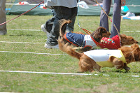 picnic_land_B-0020.jpg