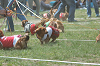 picnic_land_B-0021_thumb.png
