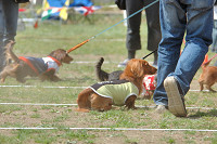 picnic_land_B-0022.jpg