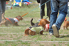 picnic_land_B-0022_thumb.png