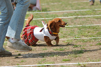 picnic_land_B-0023.jpg