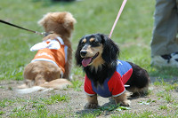 picnic_land_B-0024.jpg