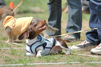 picnic_land_B-0030.jpg
