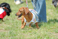 picnic_land_B-0033.jpg