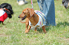 picnic_land_B-0033_thumb.png