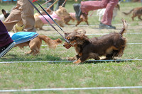 picnic_land_B-0041.jpg