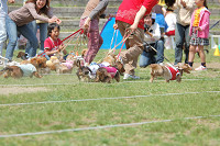 picnic_land_B-0042.jpg