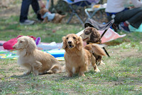 picnic_land_B-0044.jpg